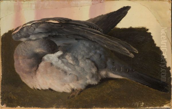 Studie av sovande skogsduva Oil Painting by Ferdinand von Wright
