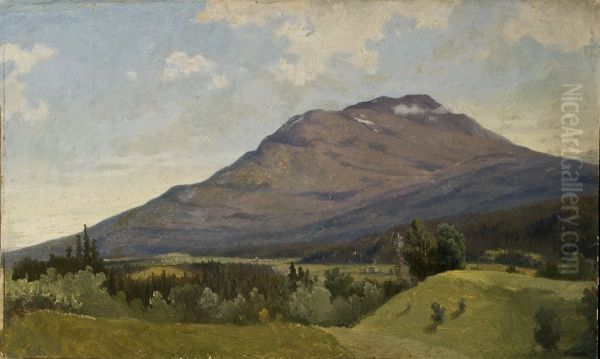 Sommarlandskap med fjall Oil Painting by Gustaf Wilhelm Palm