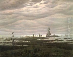 Flat country shank at Bay of Greifswald