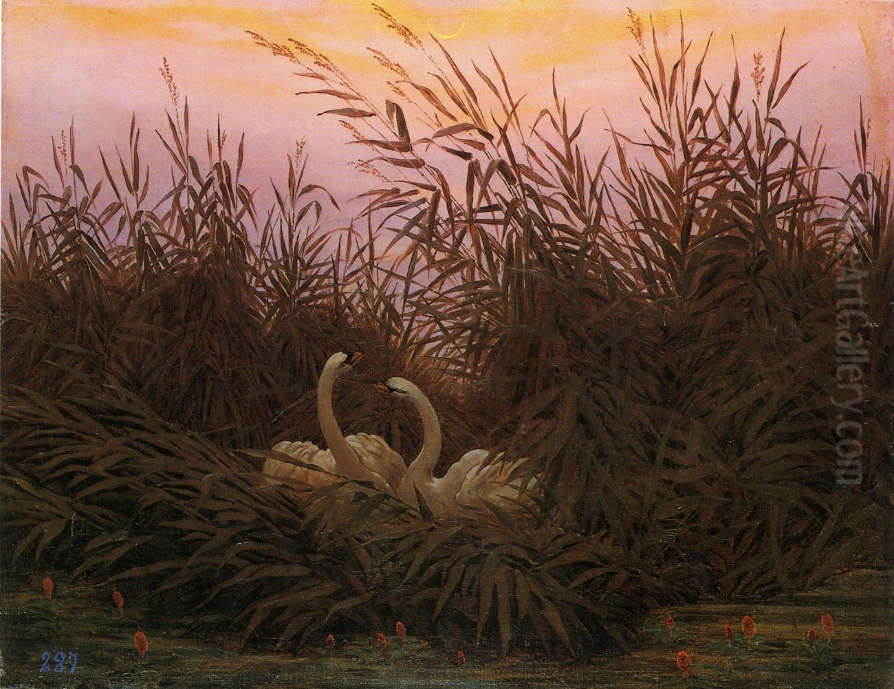 Schwane im Schilf beim ersten Morgenrot Oil Painting by Caspar David Friedrich