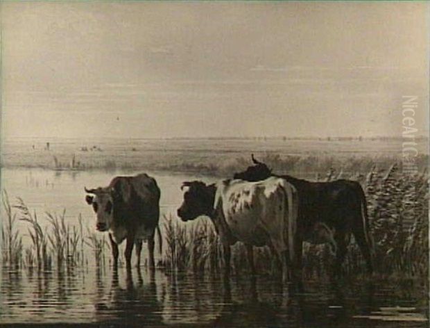Morgenstond aan de plassen. Oil Painting by Pieter Stortenbeker Morgenstond aan de plassen. Oil Painting by Pieter Stortenbeker