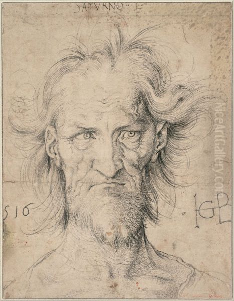 Head of a Bearded Old Man Oil Painting by Hans Baldung Grien