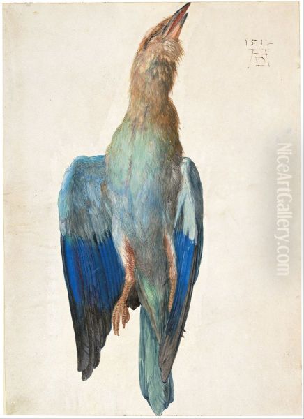 Tote Blauracke Oil Painting by Albrecht Durer