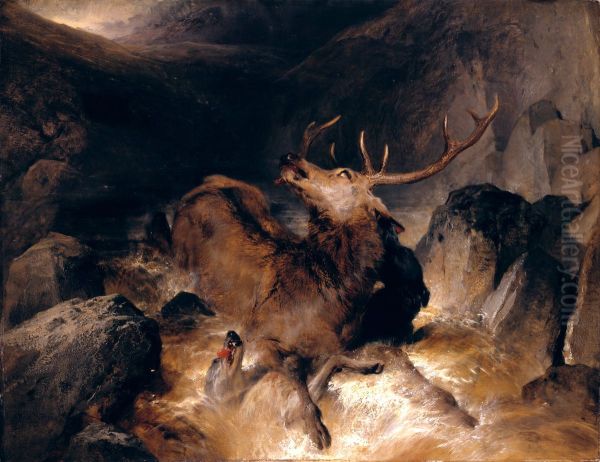 Deer and Deer Hounds in a Mountain Torrent Oil Painting by Sir Edwin Henry Landseer