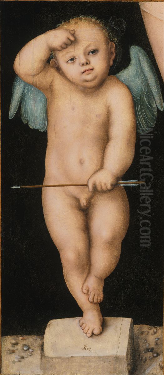 Cupid Oil Painting by Lucas Cranach the Elder