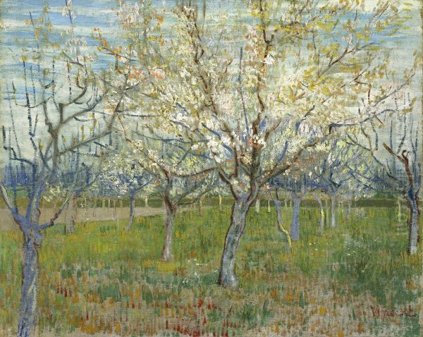 The Pink Orchard also Orchard with Blooming Apricot Trees Oil Painting by Vincent Van Gogh