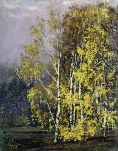 Birch Trees in the Autumn