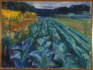 Cabbage Field