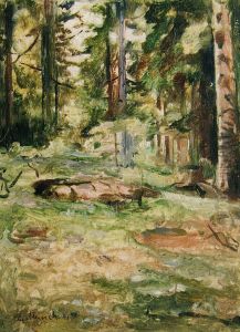 Summer Day in the Forest