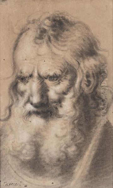 Mannlicher Charakterkopf Oil Painting by Lodovico Carracci