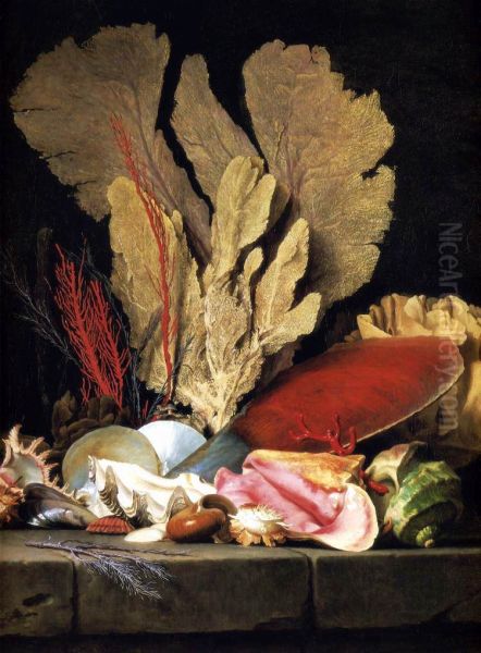 Still-Life with Tuft of Marine Plants, Shells and Corals Oil Painting by Anne Vallayer-Coster