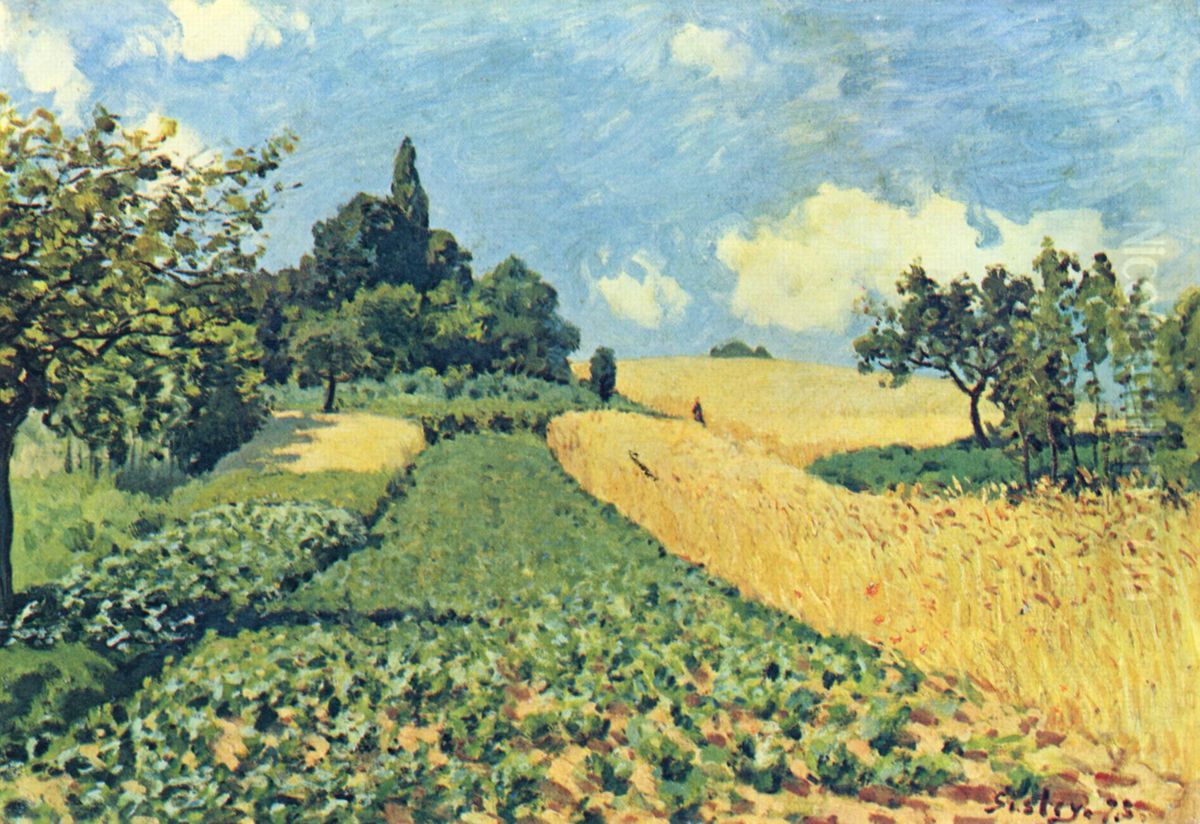 Grain fields on the hills of Argenteuil Oil Painting by Alfred Sisley