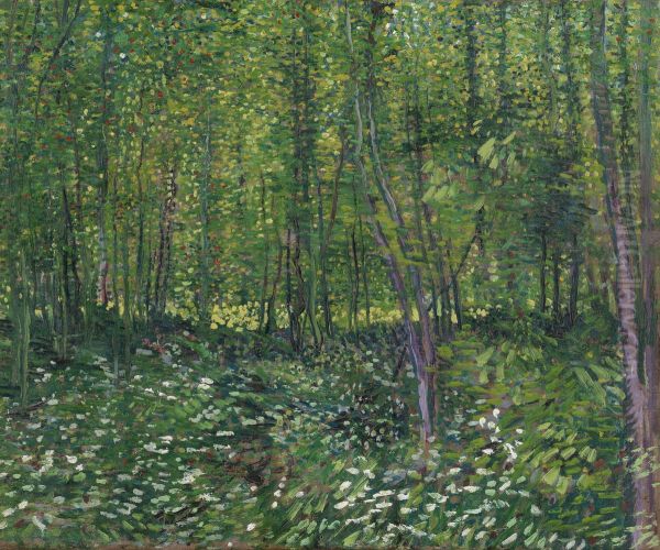 Bos met kreupelhout Oil Painting by Vincent Van Gogh