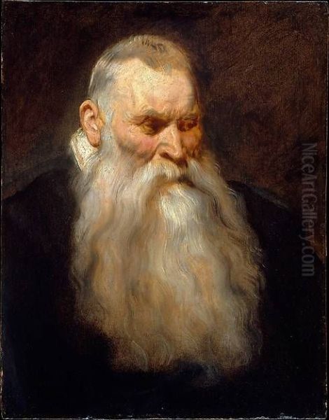 Study Head of an Old Man with a White Beard Oil Painting by Sir Anthony Van Dyck
