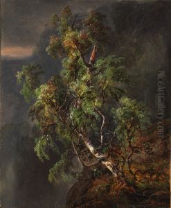 Birch Tree in a Storm