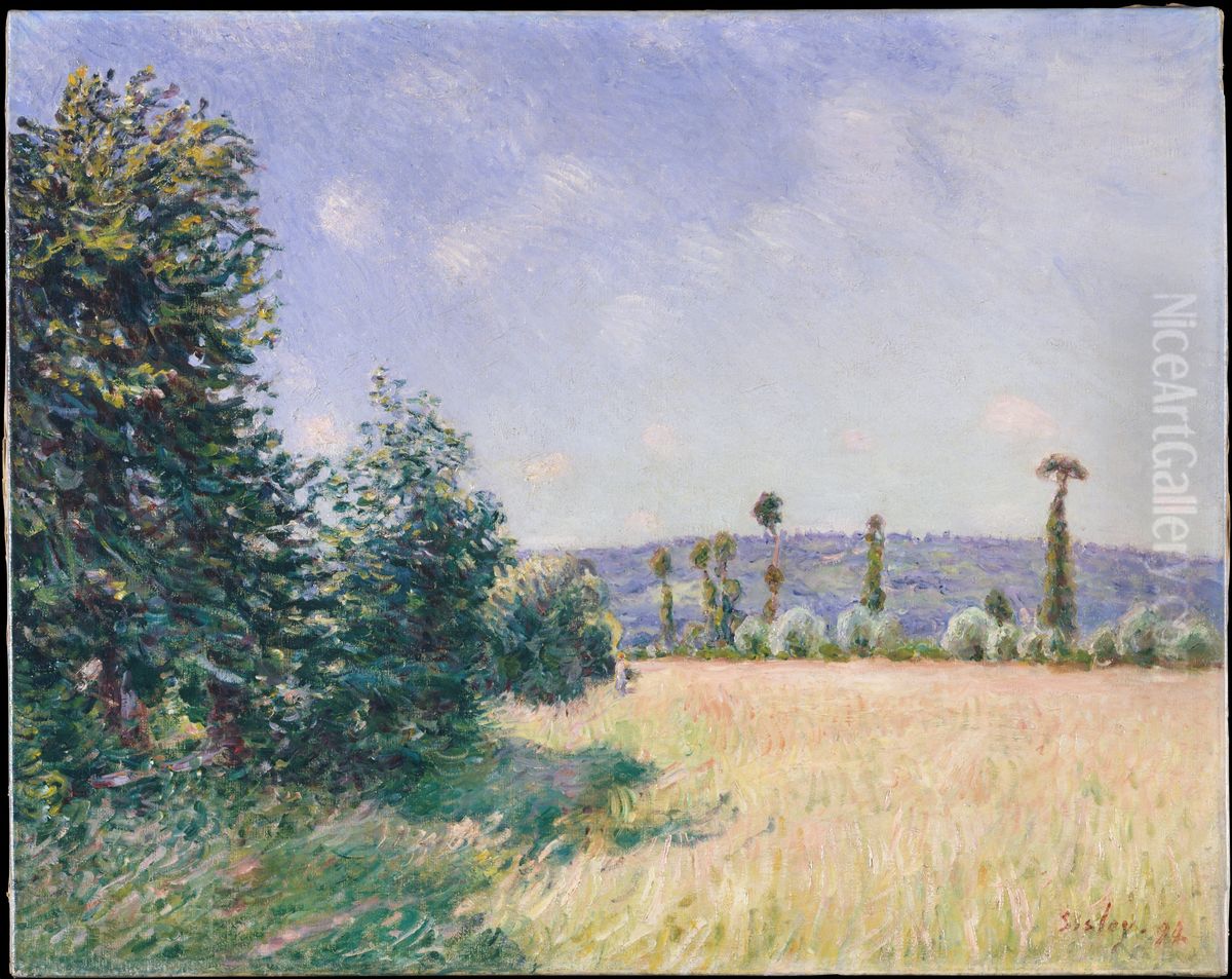 Sahurs Meadows in Morning Sun Oil Painting by Alfred Sisley