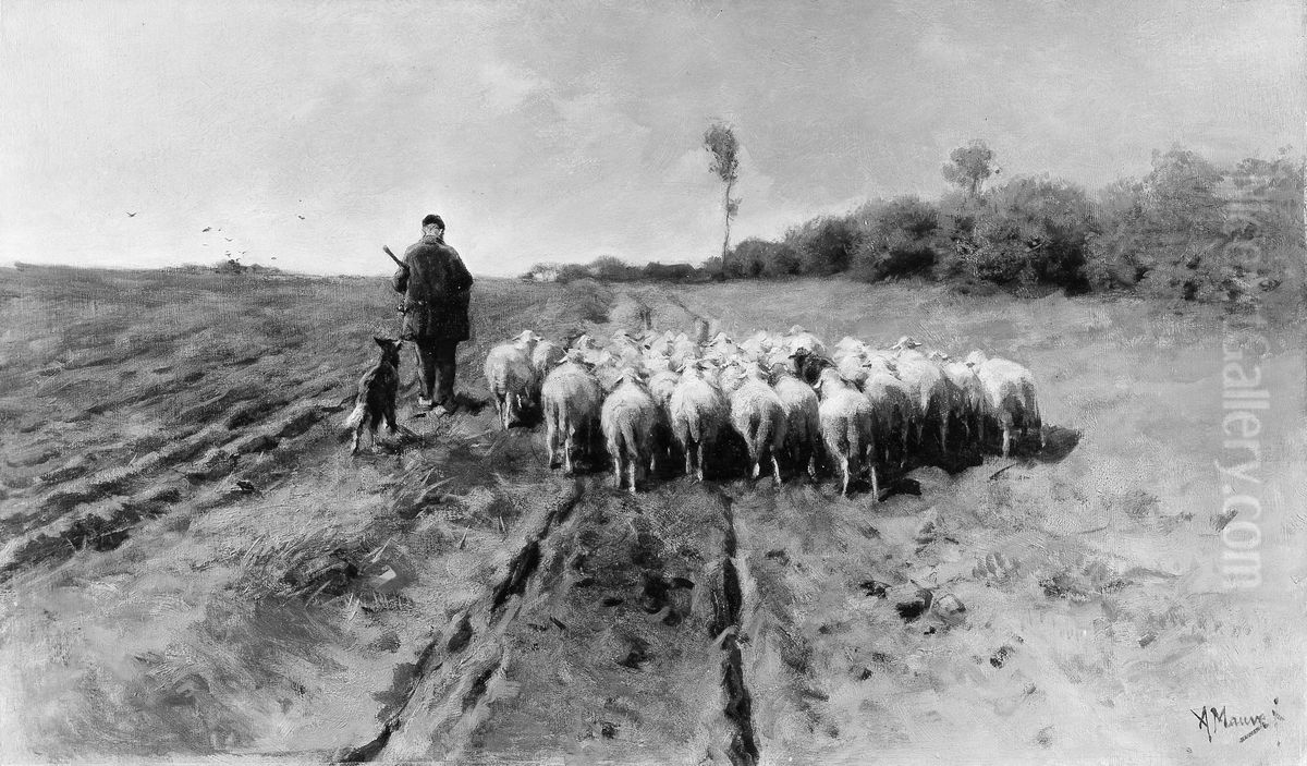 The Return to the Fold Oil Painting by Anton Mauve