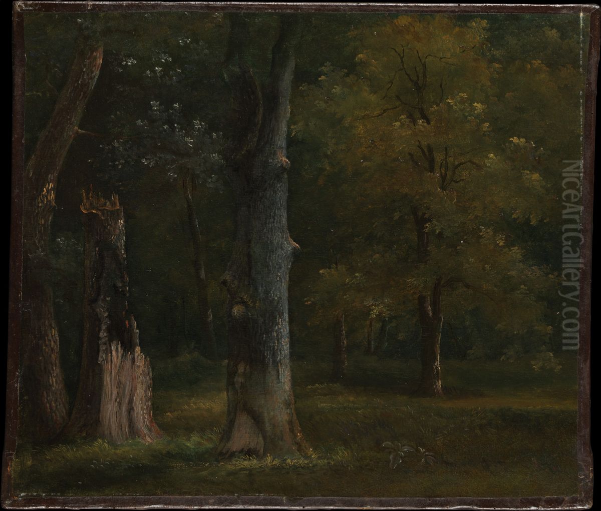 Trees in the Bois de Boulogne, Paris Oil Painting by Achille Etna Michallon