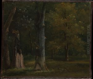 Trees in the Bois de Boulogne, Paris