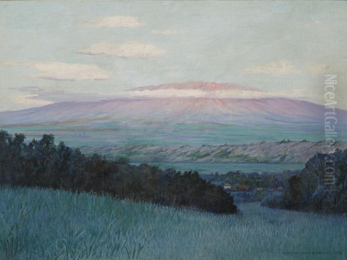 View of Haleakala, Maui Oil Painting by unknown