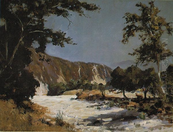 Dry Arroyo, California Oil Painting by D. Howard Hitchcock