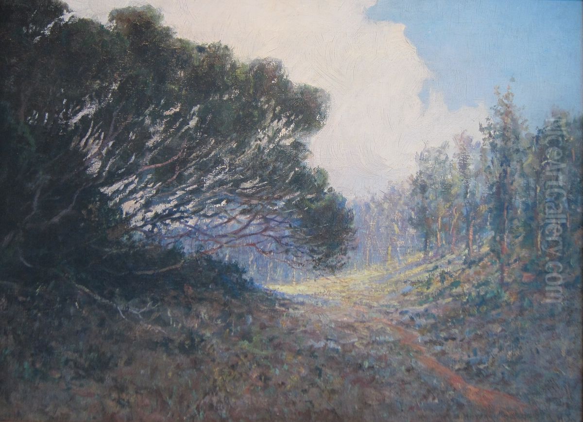 Trees, Kokee, Kauai Oil Painting by D. Howard Hitchcock
