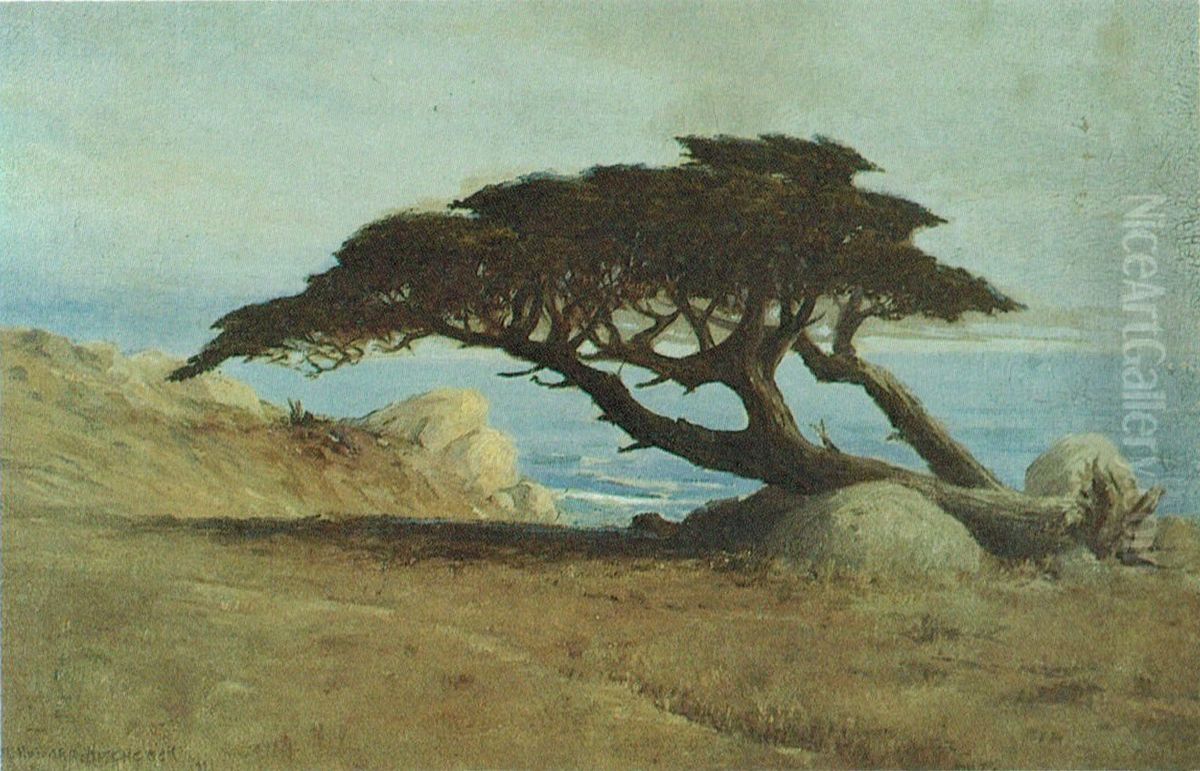 'Witch Tree, Carmel' Oil Painting by D. Howard Hitchcock