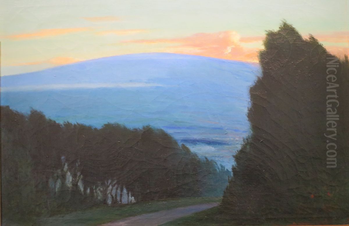 Unidentified scene of Hawaii Oil Painting by D. Howard Hitchcock