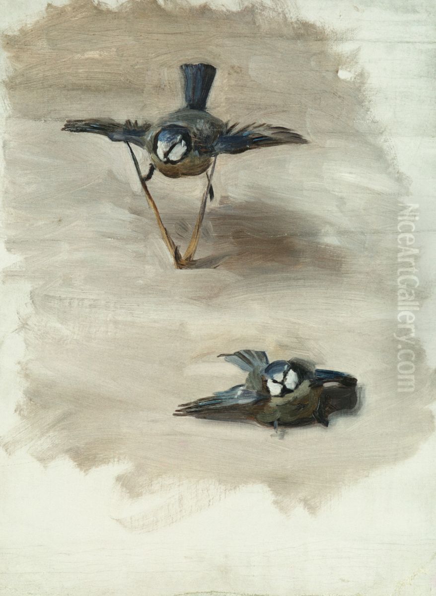 Studies of a Dead Bird Oil Painting by John Singer Sargent