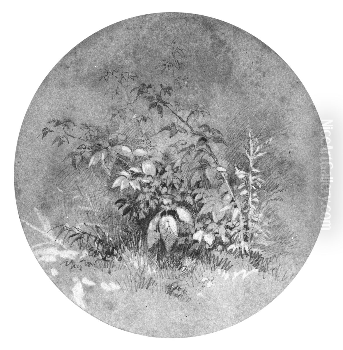 Study of Ground Foliage (from Cropsey Album) Oil Painting by William Trost Richards