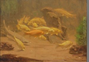 Aquarium