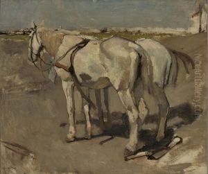 Twee witte paarden Twee witte paarden