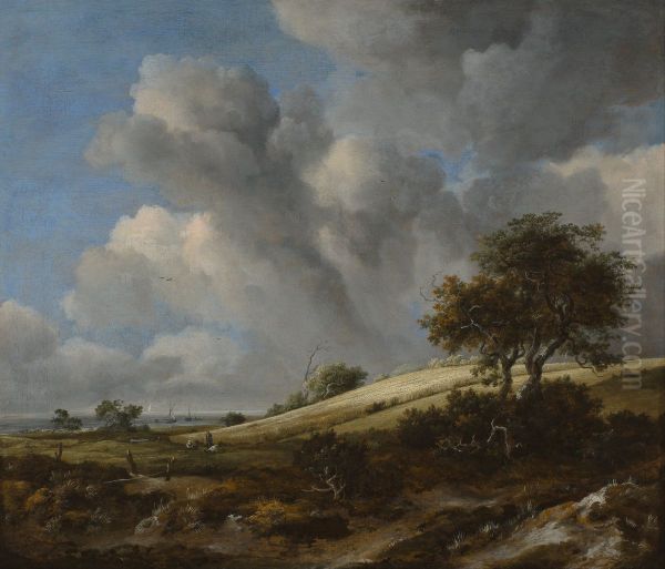 Landscape with a corn field near the sea Oil Painting by Jacob Van Ruisdael