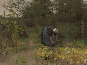 In the Vegetable Garden