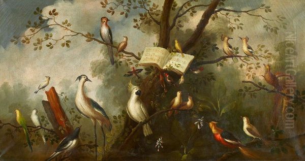 Bird Study Oil Painting by unknown
