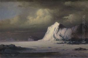 Abandoned in the Arctic Ice Fields