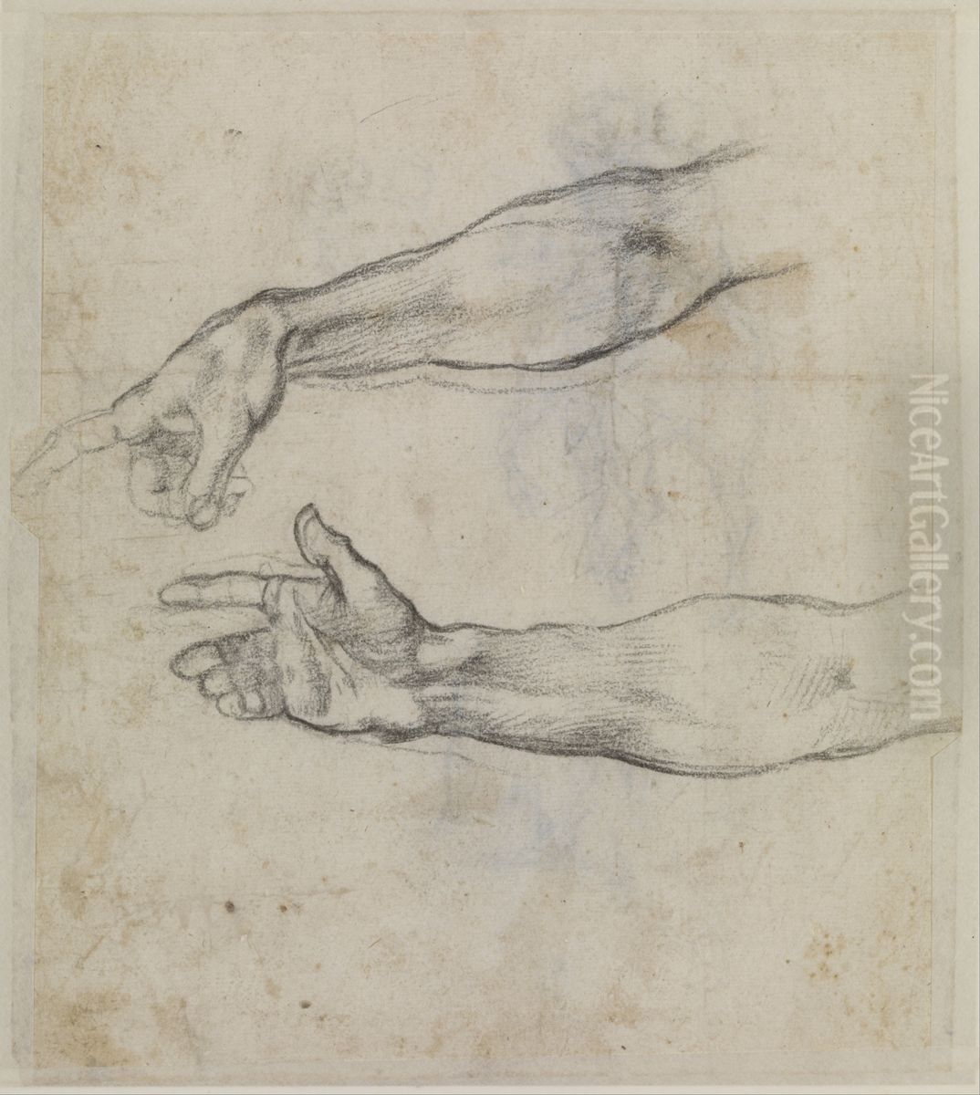 Studies of an outstretched arm for the fresco 'The Drunkenness of Noah' in the Sistine Chapel Oil Painting by Michelangelo Buonarroti