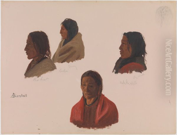 Studies of Indian Chiefs Made at Fort Laramie Oil Painting by Albert Bierstadt
