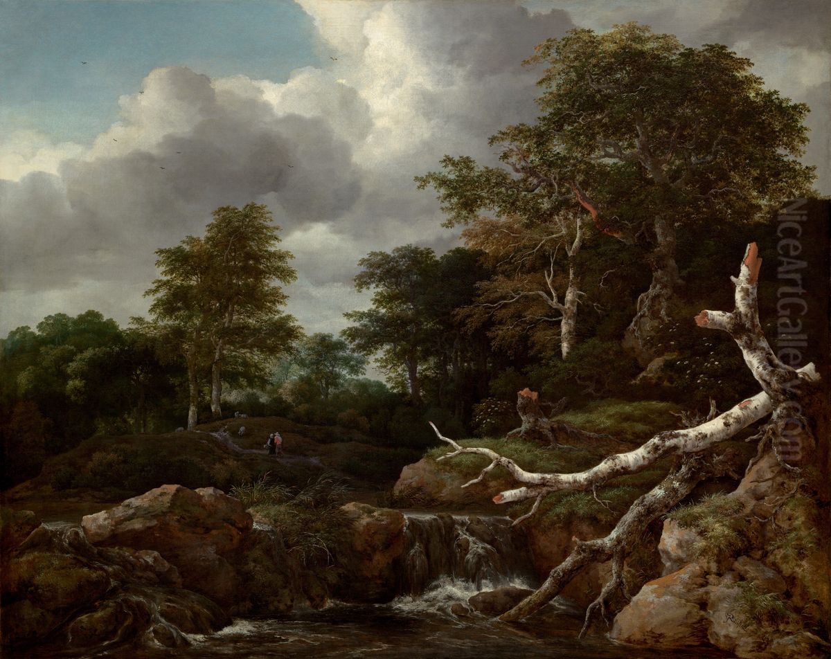 Forest Scene Oil Painting by Jacob Van Ruisdael