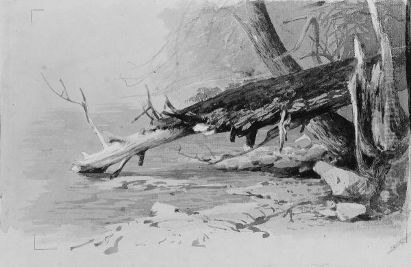 Moss-Covered Log Oil Painting by Hermann Ottomar Herzog