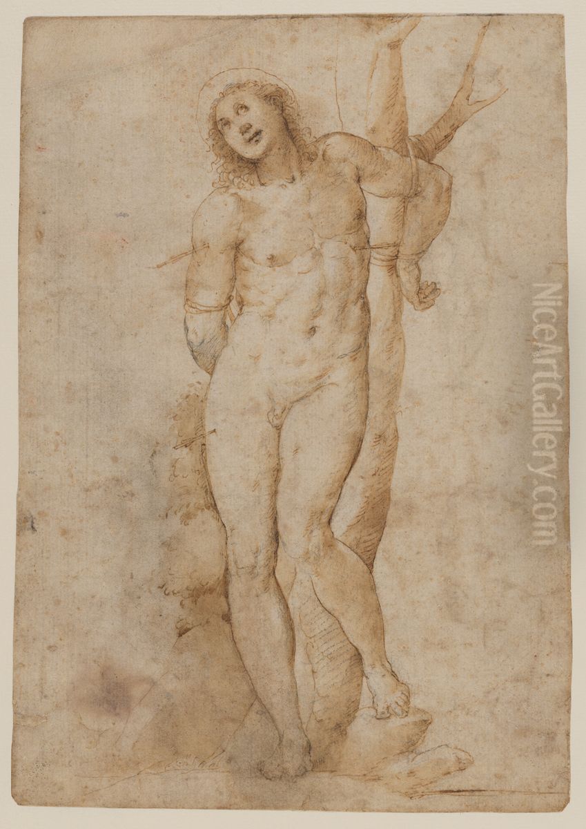 Saint Sebastian (recto); sketches of a male head and a standing figure in a short cape; a copy of the figure on the recto (verso) Oil Painting by Il Sodoma