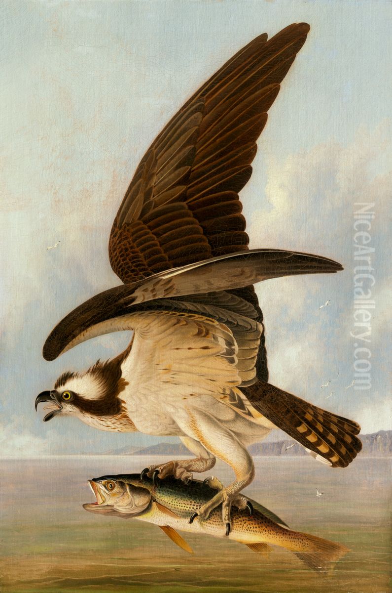 Osprey and Weakfish Oil Painting by John James Audubon