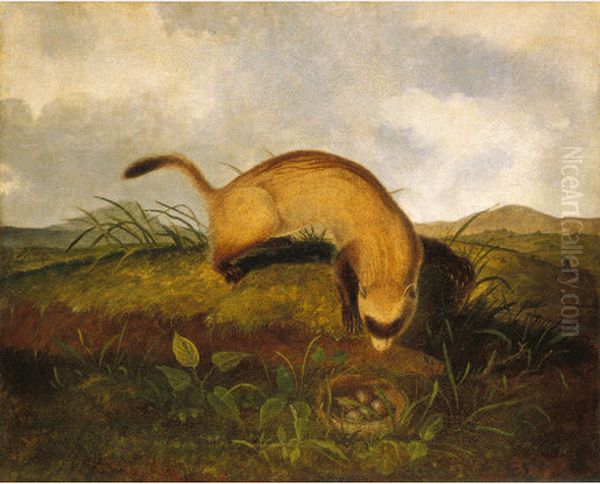 Black-Footed Ferret Oil Painting by John Woodhouse Audubon