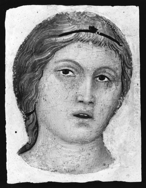 Head of an Angel in Full Face Oil Painting by Taddeo Di Bartolo