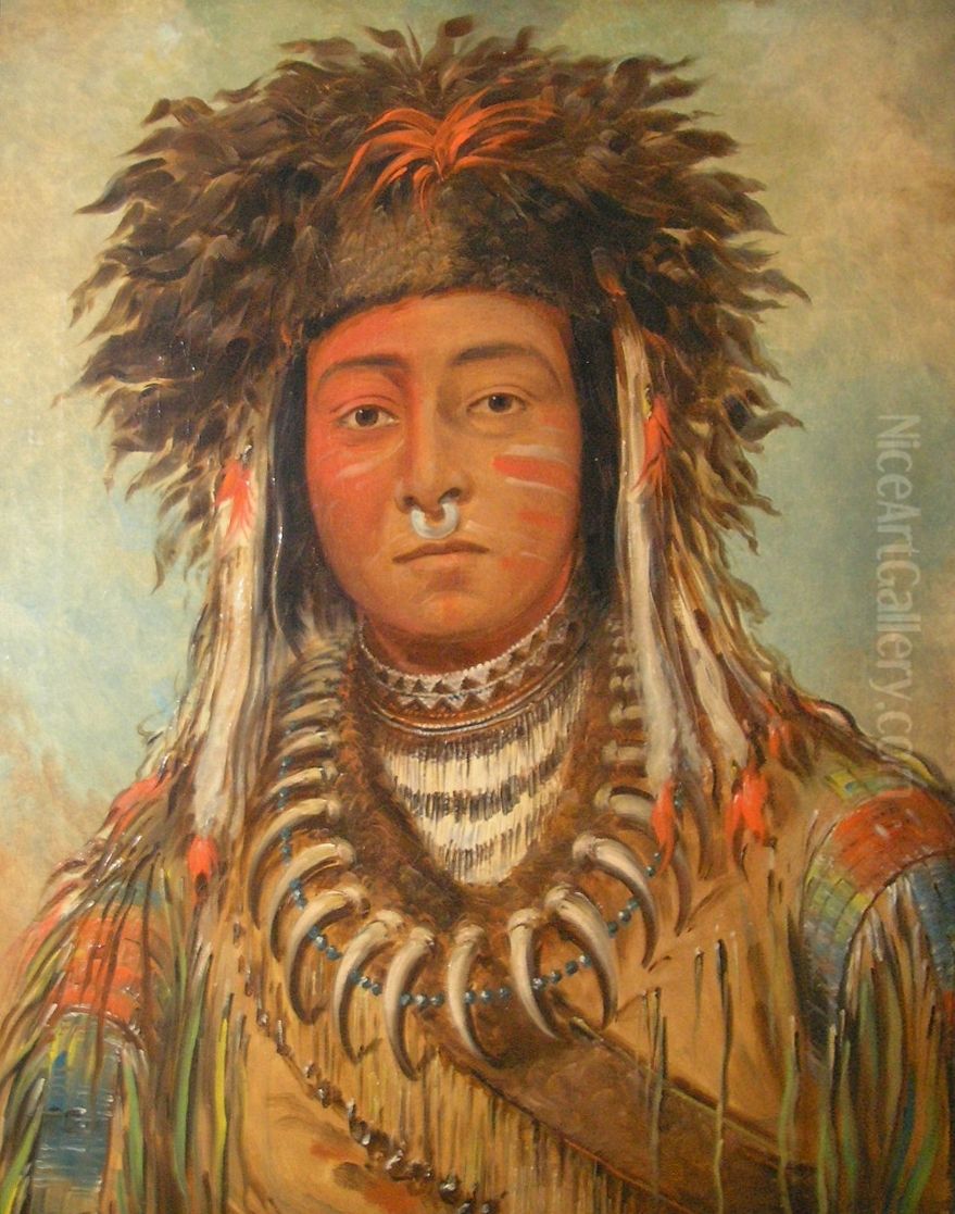 Boy Chief - Ojibbeway Oil Painting by George Catlin Boy Chief - Ojibbeway Oil Painting by George Catlin