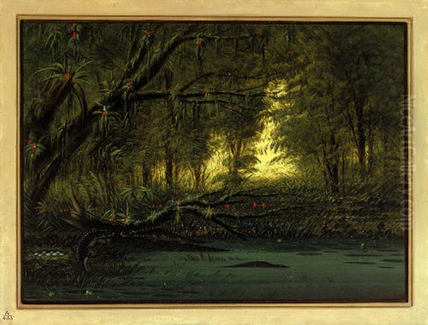 an alligator's nest Oil Painting by George Catlin