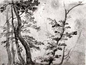 Trees Trees