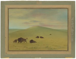 American Pasturage - Prairies of the Platte