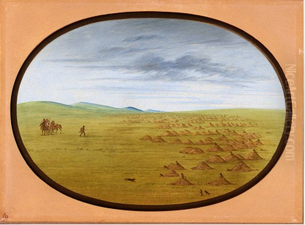 Prairie Dog Village Oil Painting by George Catlin