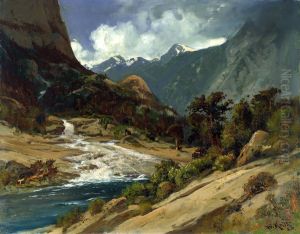 Hetch Hetchy Side Canyon, I